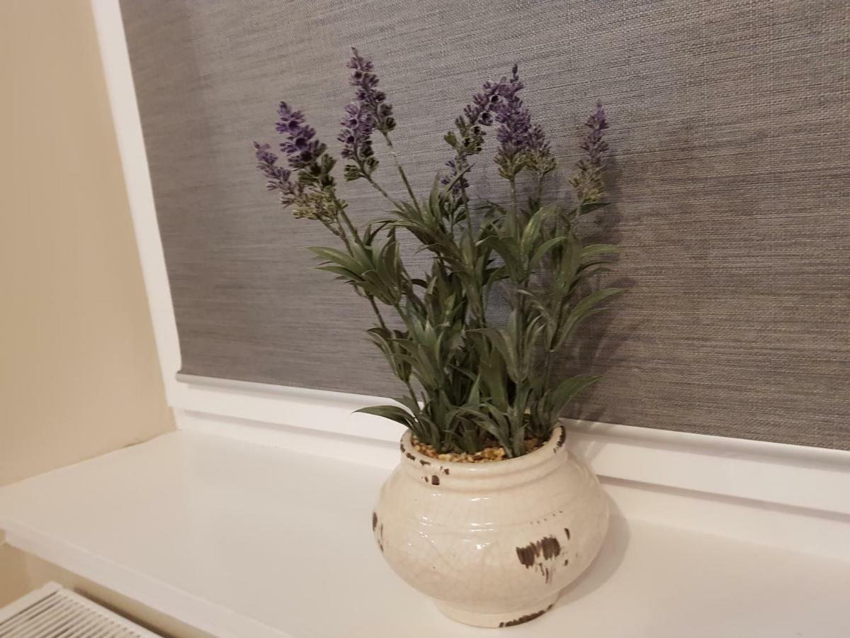 Smart & Cozy Holiday Apartment In The City Centre インヴァネス エクステリア 写真