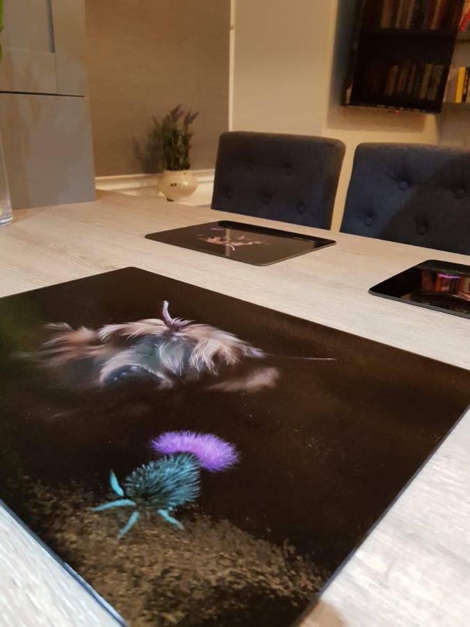 Smart & Cozy Holiday Apartment In The City Centre インヴァネス エクステリア 写真