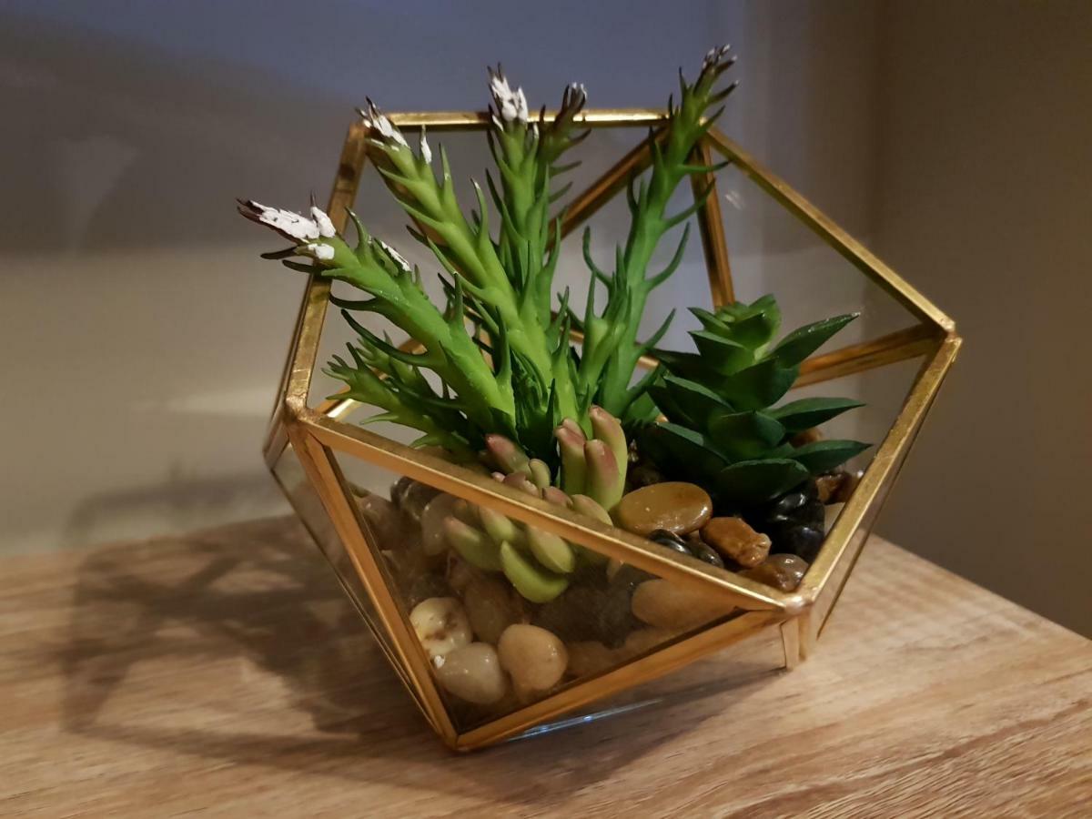 Smart & Cozy Holiday Apartment In The City Centre インヴァネス エクステリア 写真